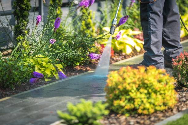  Emsworth, PA Pressure Washing Pros
